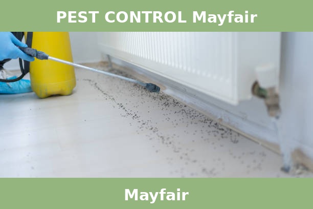 PEST CONTROL Mayfair